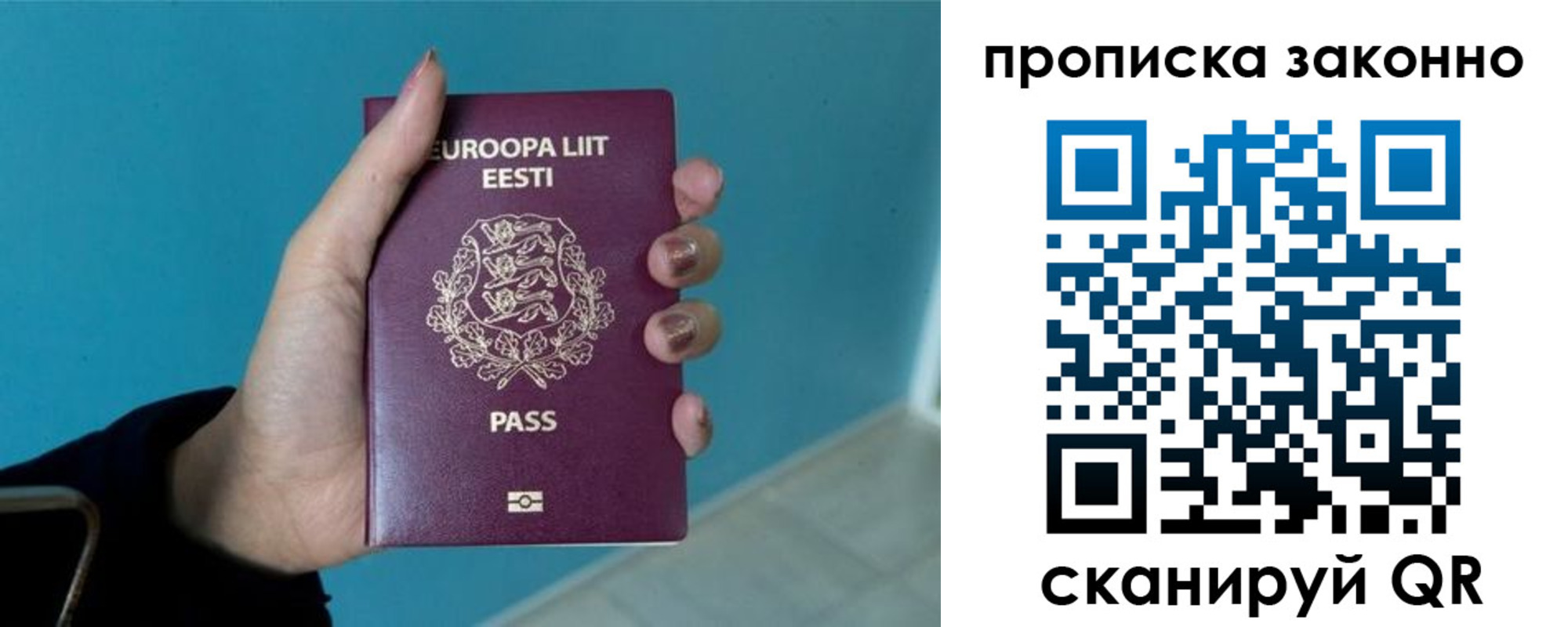 прописка гарантия в Ковдоре